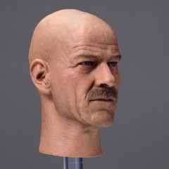 1/6 Bryan Cranston Heisenberg Teacher Male Head Sculpt Model 12in Action Figures