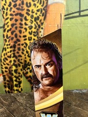 WWE ELITE LEGENDS JAKE THE SNAKE ROBERTS FIGURE WWF NWA WCW ULTIMATE BASIC RETRO
