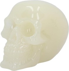 Nemesis Now Phosphorescent Glow in Dark Skull Figurine, Resin, Luminous Green, 1