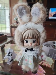 NOMMI FOREST KINGDOM blind Box