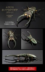 The Diversity of Life on Earth Advance Stag Beetle 02 w/ Display Stand & Wing