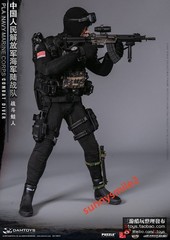DAMTOYS 78073 1/6 PLA Navy Marine Corps Combat Frogman Special Forces In Stock