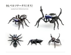 The Diversity of Life on Earth Peacok Spider Figure Bandai Capsule Toy