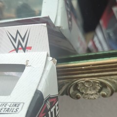 WWE Elite Series 117 Rhea Ripley New Box Has Some Slight Damage
