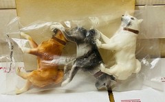 Hasbro The Adventures of GI Joe The Fight For Survival POLAR Explore sealed bags