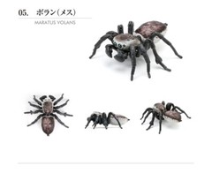 The Diversity of Life on Earth Peacok Spider Figure Bandai Capsule Toy