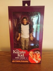 NECA Karate Kid Lot. All Valley, Daniel LaRusso, Johnny Lawrence, Mr. Miyagi