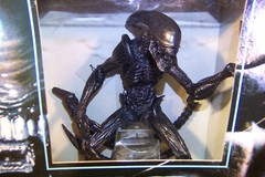 ALIEN VS PREDATOR: BLACK ALIEN XENOMORPH WARRIOR 9 inch DELUXE ACTION FIGURE NEW