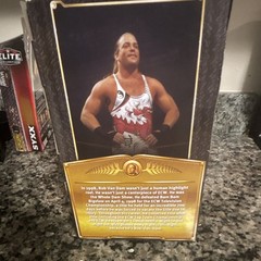 WWE Mattel Defining Moments Rob Van Dam Ringside Exclusive Action Figure Belt
