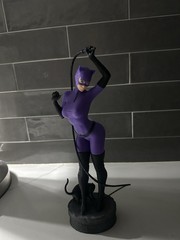Catwoman Knight Fall