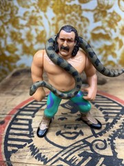 WWF Jake the Snake Roberts with Damien Hasbro Series 1 Figure WWE 1990