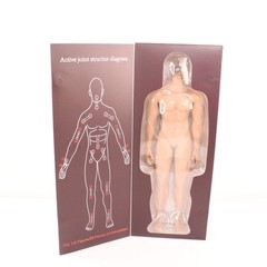 Jiaou Doll Seamless Male Action Figure Body Open Box 1:6 Scale Flexible Movable