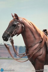 DID 1/6 Scale Brown WWII German War Horse (Standing) for 12″ Figures E60084