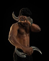 Custom BLADE Glaive and Stakes Replica Prop 1:1 (Painted)