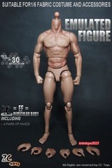 ZC Toys 1/6th Muscular Flexible Male Figure Body Fit 12″ Hot Head Sculpt Model