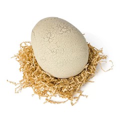 Jurassic World Primal Hatch Interactive Toy Dinosaur & Egg, Hatch & Train NEW