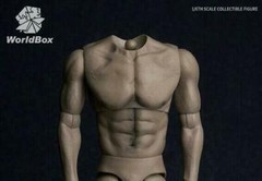 1/6 WORLDBOX AT017 Muscular Durable Body Super Strong 12″ Male Figure