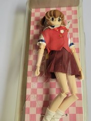 Battle Athletes Daiundokai Akari Kanzaki University Gym Clothes (Cracked Case)
