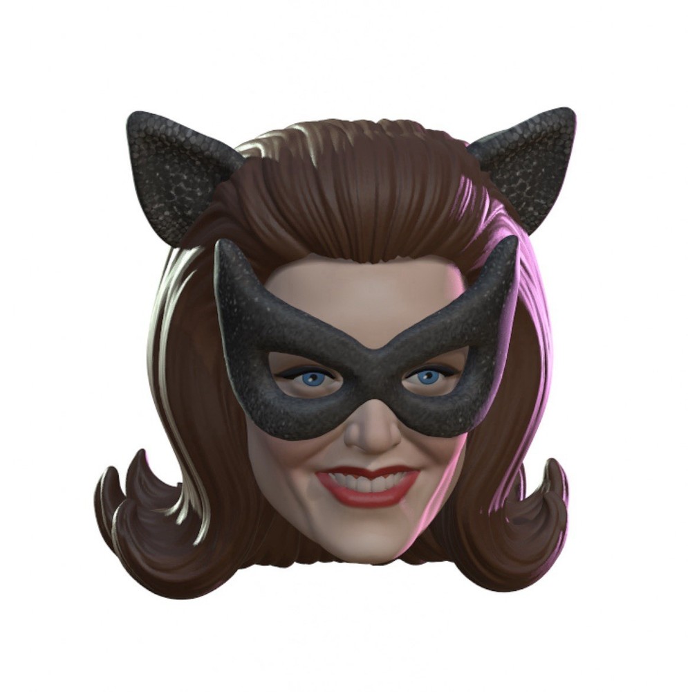 Purrfect Lady Custom Action Figure Head 1:9 or 1:6 Mego