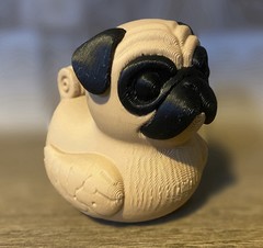 Pug Duck