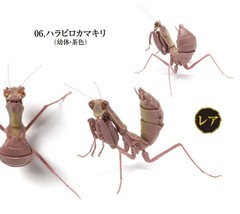 The Diversity of Life on Earth Mantis 03 Set of 6 Complete Bandai Capsule Toy