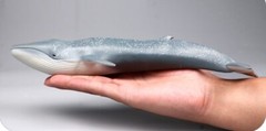 Blue Whale Sea Animal Toy PVC Action Figure Doll Kids Toys Party Gifts