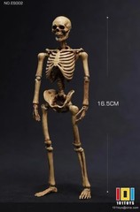 101TOYS NO.ES002 Palm Elf Series Skeleton Body 1/12 Action Figure Collectible