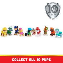 PAW Patrol All Paws on Deck 10 Collectible Action Figures Pups Gift Pack