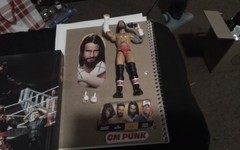 2026 Royal Rumble New WWE Champion CM Punk Amazing Likeness with microphone!!