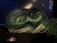 Jurassic World Hammond Collection Tyrannosaurus Rex CUSTOM MADE * send offers*