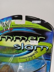 NEW WWE Summer Slam Triple H World Heavy Weight Champion Figure 2003 Jakks