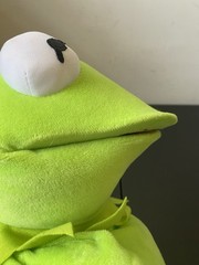 The Muppets Kermit The Frog Disney Just Play 25 In Hand Puppet Plush Read