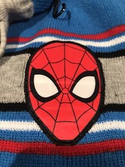 Spiderman Hat and Gloves Set New Cold Weather Set Berkshire Spiderman