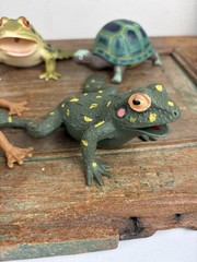 Lot 5 Frog Turtle Life-Like Realistic Plastic Rubber Stretchable Figure Toy