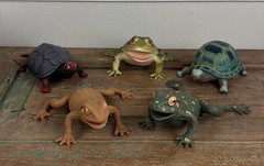 Lot 5 Frog Turtle Life-Like Realistic Plastic Rubber Stretchable Figure Toy