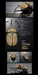 The Diversity of Life on Earth Advance Beetle 04 w/ stands Online version Bandai