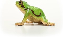 schleich 14882 European Tree Frog, from 3 years WILD LIFE – Figurine, 4 x 5 x 3