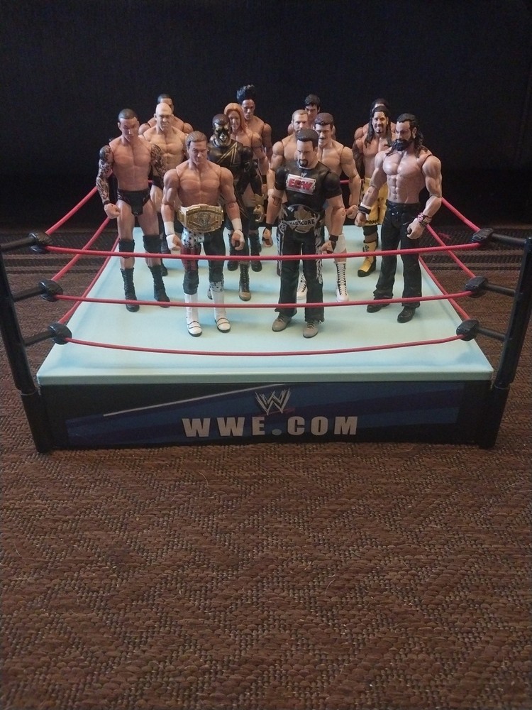 Lot Of 14 WWE Mattel Basic Figures And Jakks Raw/SmackDown Ring