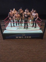 Lot Of 14 WWE Mattel Basic Figures And Jakks Raw/SmackDown Ring