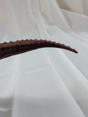 Mattel Jurassic World Carnotaurus Action Attack Dinosaur Toy Figure Chomping