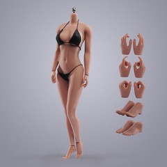 USA 1:6 Female Suntan Skin Large Bust Breast 12in Flexible Seamless Figure Body