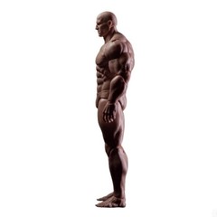 US MUFF TOYS ADAM 1/12 AD01 Male Figure Body Strong MuscleJoint Body 17cm Figure