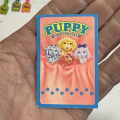 Vintage 1993 Puppy In My Pocket Figure Card Lot Ricky Labrador Mischief Terrier