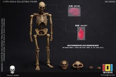 101TOYS NO.ES002 Palm Elf Series Skeleton Body 1/12 Action Figure Collectible