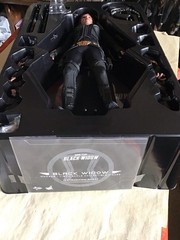 Hot Toys Black Widow MMS 603 Collectible 1/6 Scale Figure