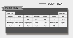 LDDOLL1/6Silicone Flexible Seamless Figure Female Anime Body 22S+ob head