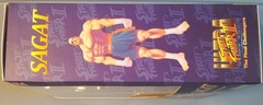 Storm Collectibles 1/12 Ultra Street Fighter II 2 Sagat MvC USA SELLER NEW READ