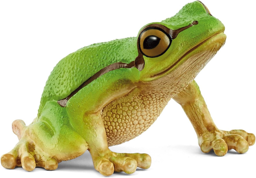 Schleich Wild Life – European Tree Frog Toy Figurine. Realistic Hand-Painted Ani