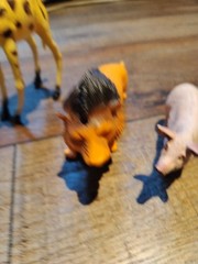 Nature Animals BUNDLE OF 4~ Giraffe, Lion, Hippo & Pig