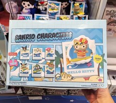 Miniso Sanrio Summer Surf Series Magnetic Fridge Magnet Confirmed Blind Box